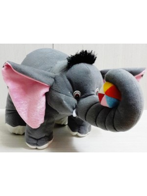Baby Elephant