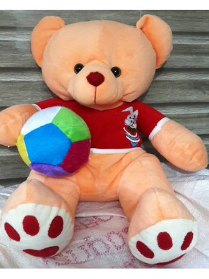 Teddy With Ball
