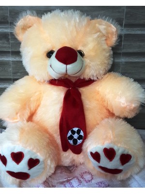 Teddy Bear With Tie